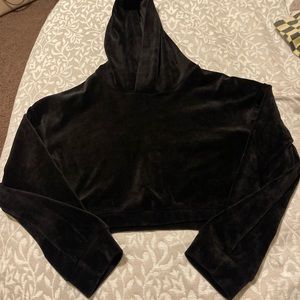 Akira Cropped Velvet Hoodie